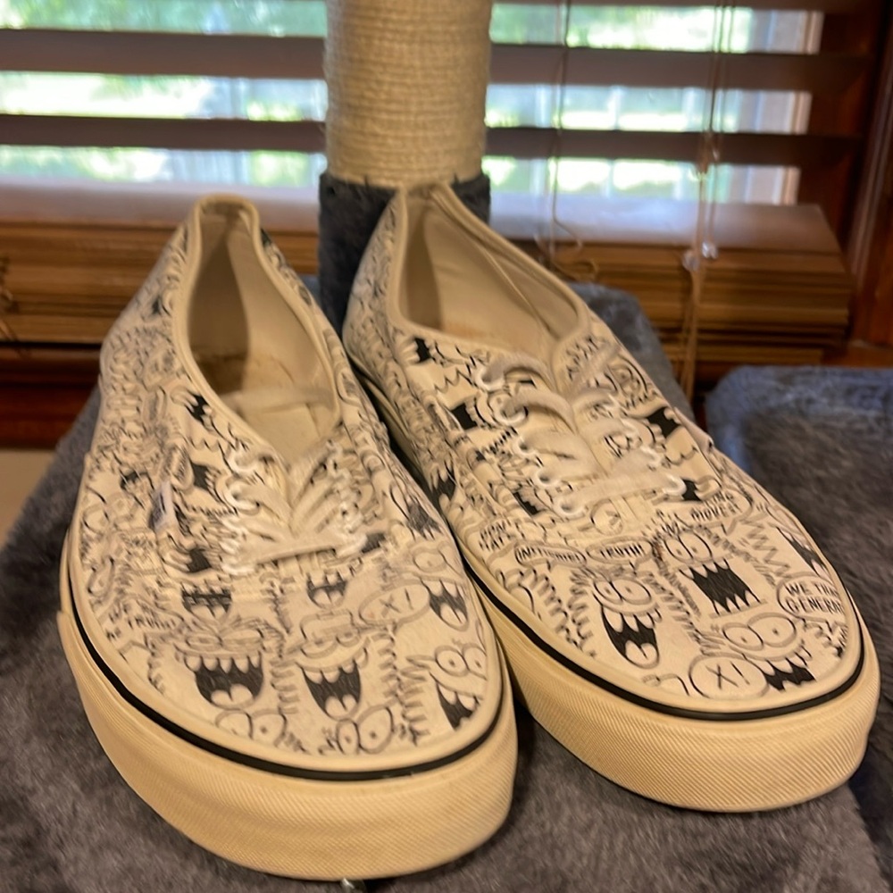 Vans Truth Pattern, Size 12